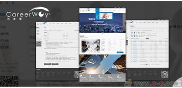 成都網(wǎng)站策劃設(shè)計(jì)開發(fā)維護(hù)推廣一體化解決方案 專業(yè)與責(zé)任并重的企業(yè)伙伴